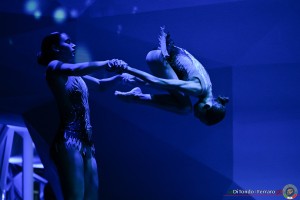 fgi divise freddy lanterna ph di tondo   ferraro 2584